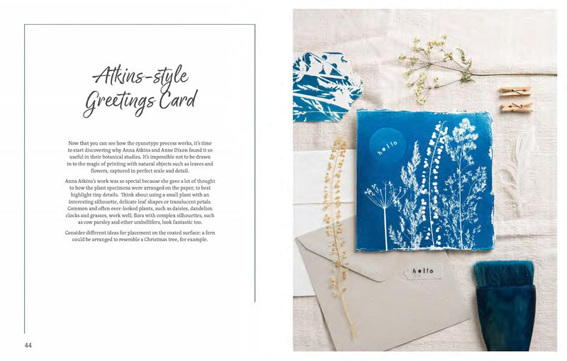 Beginner’s Guide to Cyanotype: Beautiful projects to print with light by Kim Tillyer