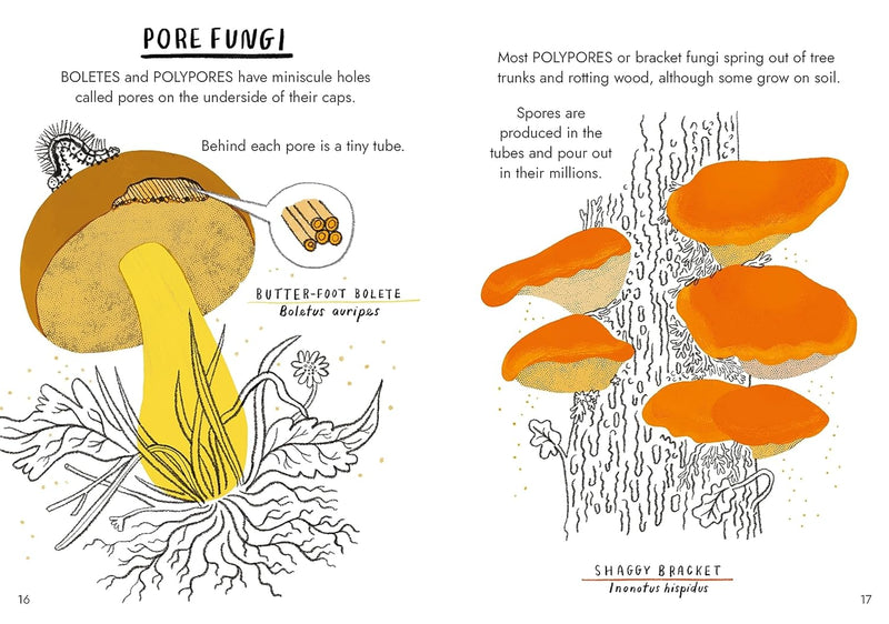 Hello Fungi: A Little Guide To Nature (Hardback) by Nina Chakrabarti