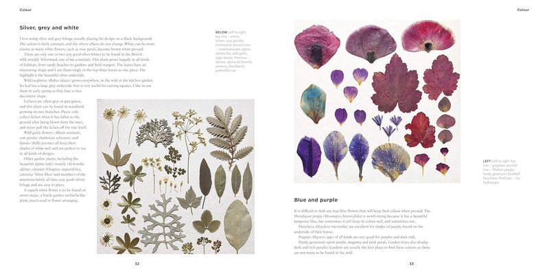 The Art of Pressed Leaves: New Ideas in Pressed Leaves and Flowers by Jennie Ashmore