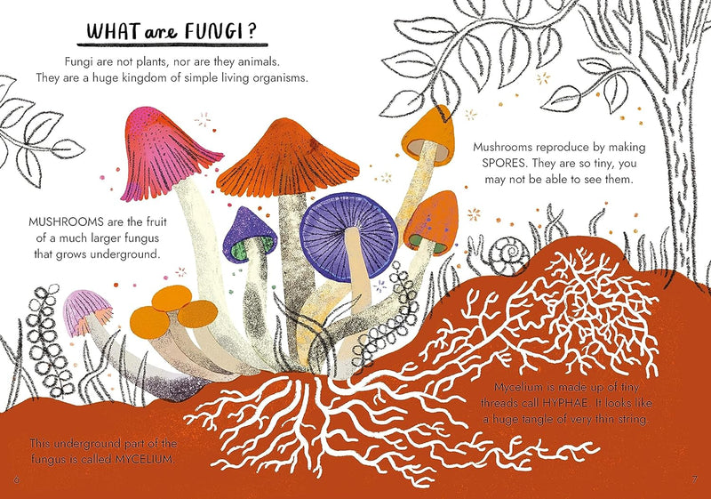 Hello Fungi: A Little Guide To Nature (Hardback) by Nina Chakrabarti