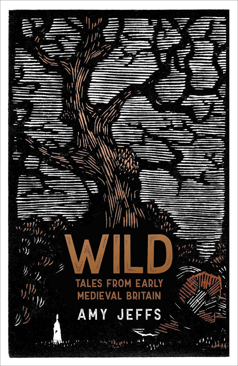 Wild: Tales from Early Medieval Britain (Paperback) by Amy Jeffs