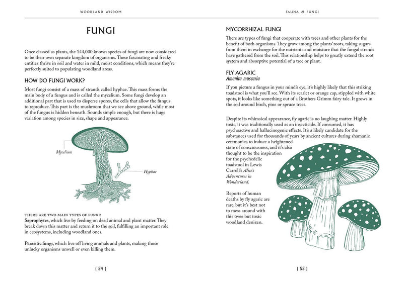 Woodland Wisdom: A Miscellany of Forest Facts, Fiction & Folklore by Nick Pierce