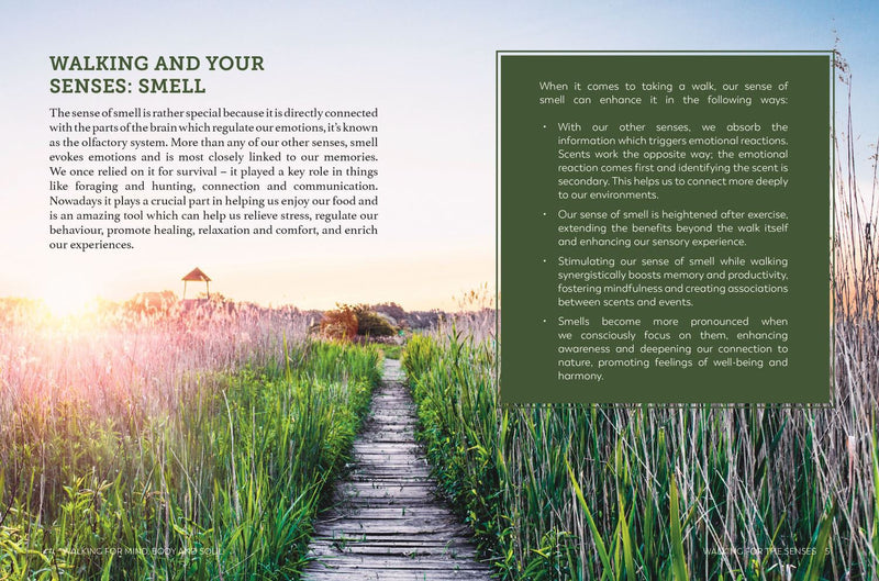 Walking for Mind, Body and Soul: How to Walk Your Way to Wellness by Rowan Bailey