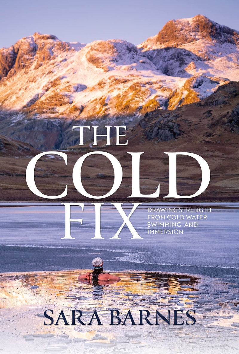 The Cold Fix by Sara Barnes