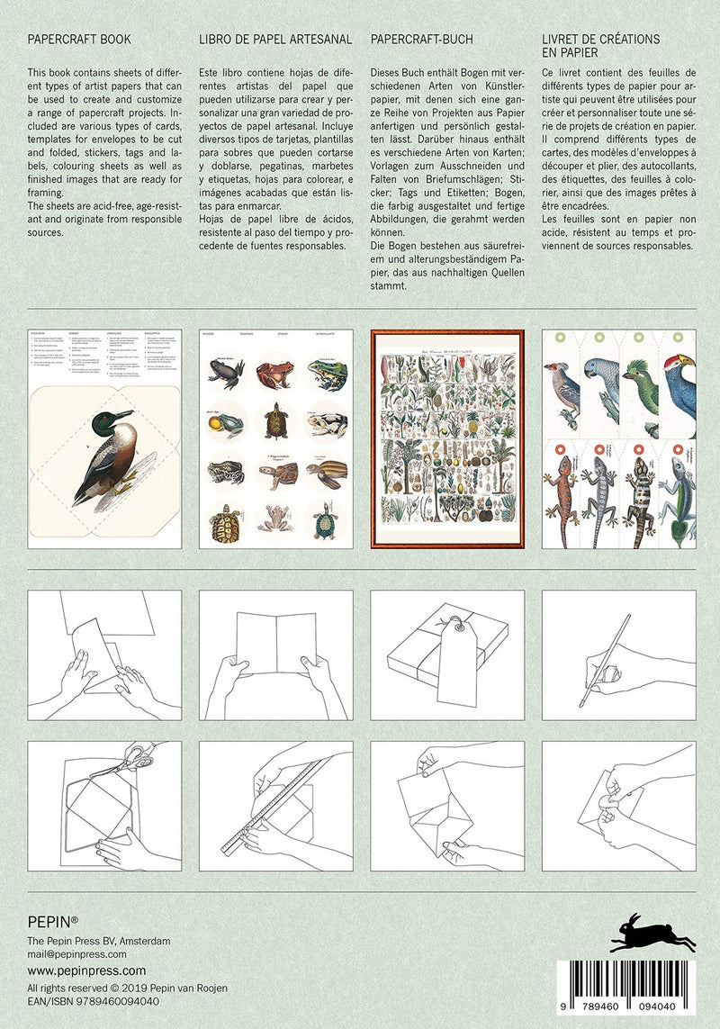 Natural History: Papercraft Book by Pepin Van Roojen