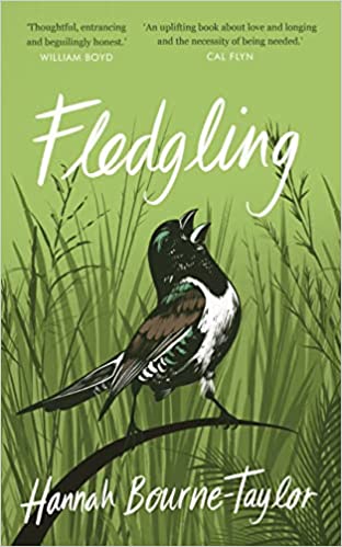 Fledgling (Paperback) by Hannah Bourne-Taylor